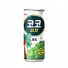 롯음-코코포도240캔